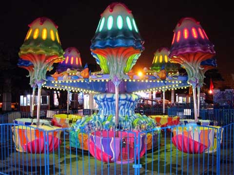 Do You Know About Fancy Jellyfish Rides at Amusement Parks