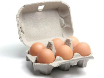 Egg Carton