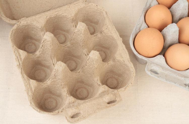 paper egg trays