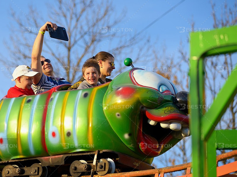 find competitive roller coaster rides price