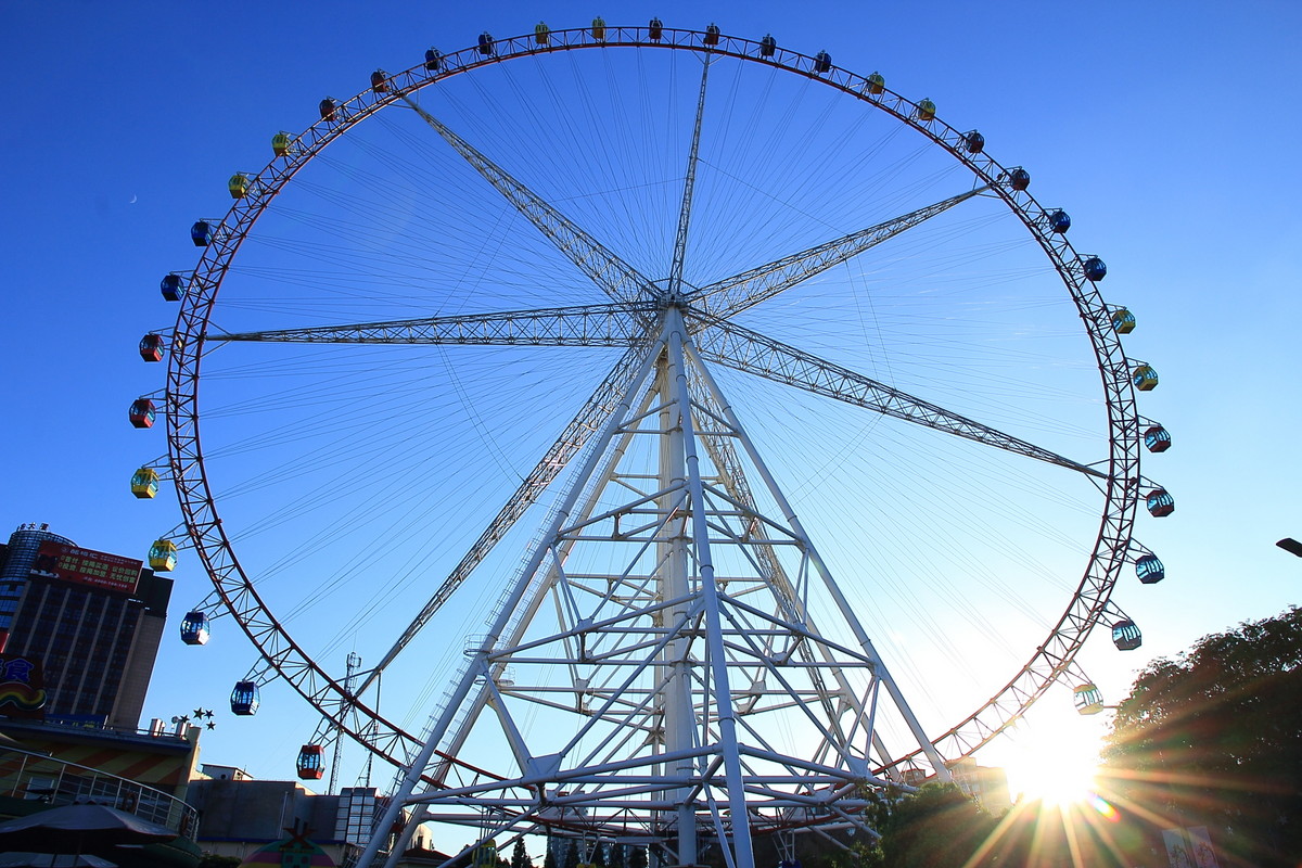 Merris Wheel The Timeless Allure of Ferris Wheels: A Journey Through the Years